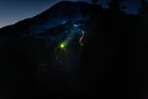 Mt. Rainier Adventure Elopement headlamps