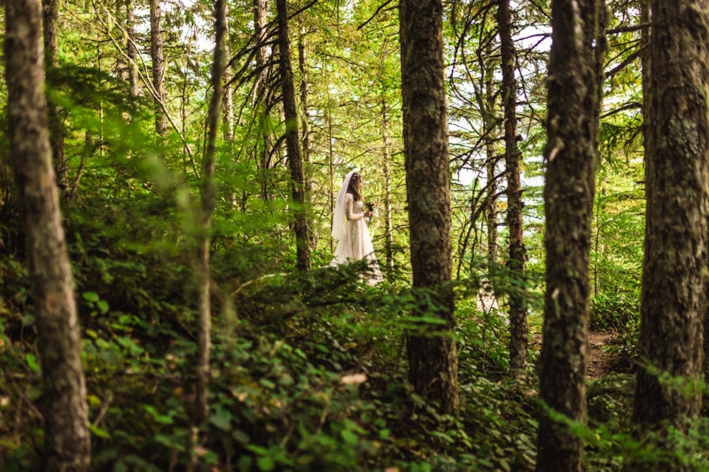 olympic national park elopement videographer